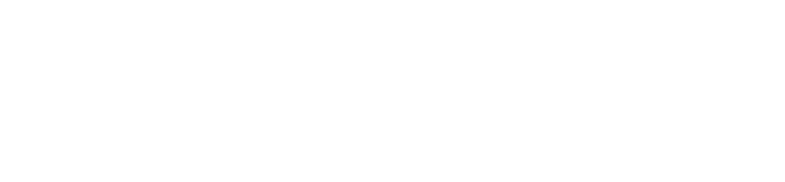 codekunst systems GmbH